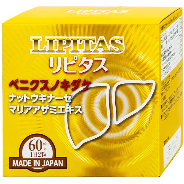 00029360-lipitas-jpanwell-60v-9932-6006_large